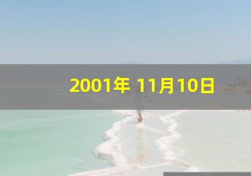 2001年 11月10日